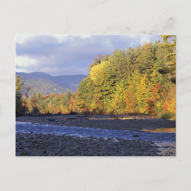 Nordamerika, USA, NH, Saco River. Kobble Vykort (Framsida)