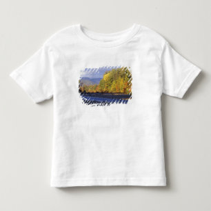 Nordamerika, USA, NH, Saco River. Rundsten T-shirt
