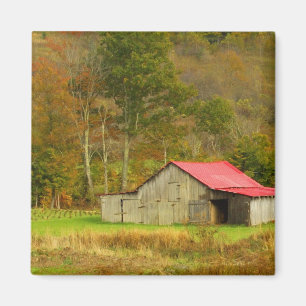 Nordamerika, USA, North Carolina, landsbygd Magnet