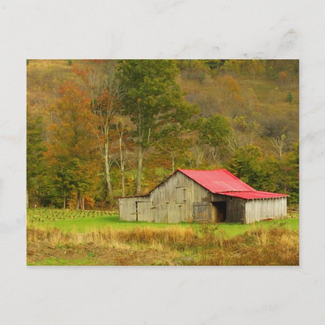 Nordamerika, USA, North Carolina, landsbygd Vykort (Framsida)