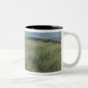 Nordamerika, USA, Oregon, Canon Beach, Två-Tonad Mugg