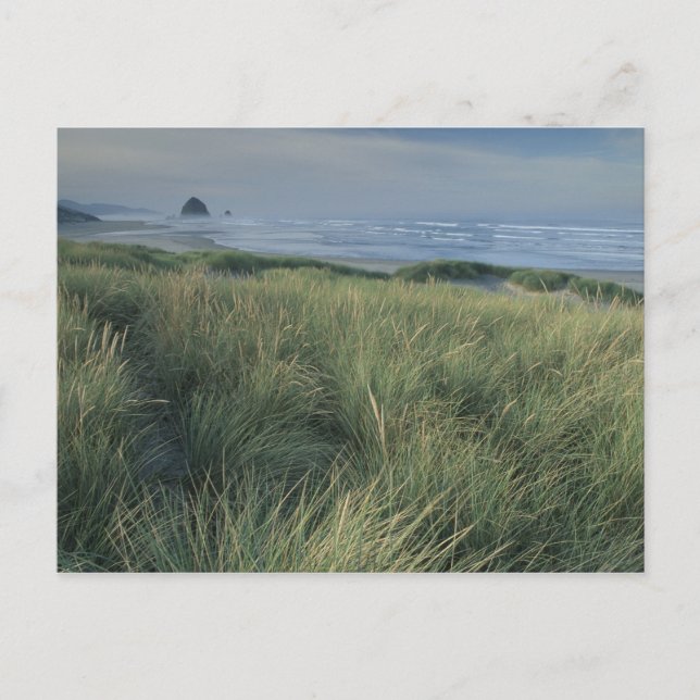 Nordamerika, USA, Oregon, Canon Beach, Vykort (Framsida)