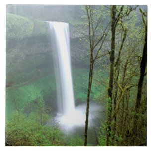 Nordamerika, USA, Oregon, Silver Falls State Kakelplatta