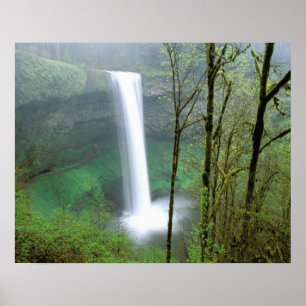 Nordamerika, USA, Oregon, Silver Falls State Poster
