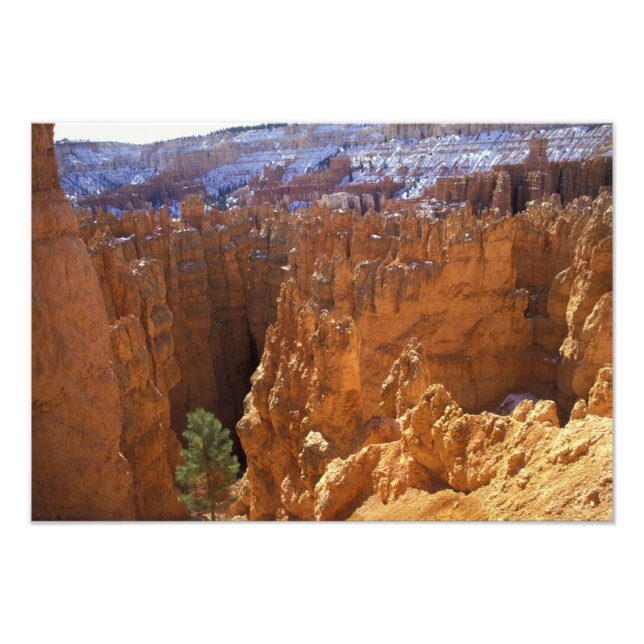 Nordamerika, USA, Utah, Bryce Canyon 2 Fototryck (Framsidan)