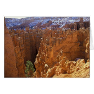 Nordamerika, USA, Utah, Bryce Canyon 2 Hälsningskort