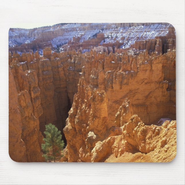 Nordamerika, USA, Utah, Bryce Canyon 2 Musmatta (Framsidan)