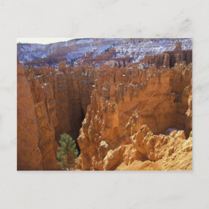 Nordamerika, USA, Utah, Bryce Canyon 2 Vykort