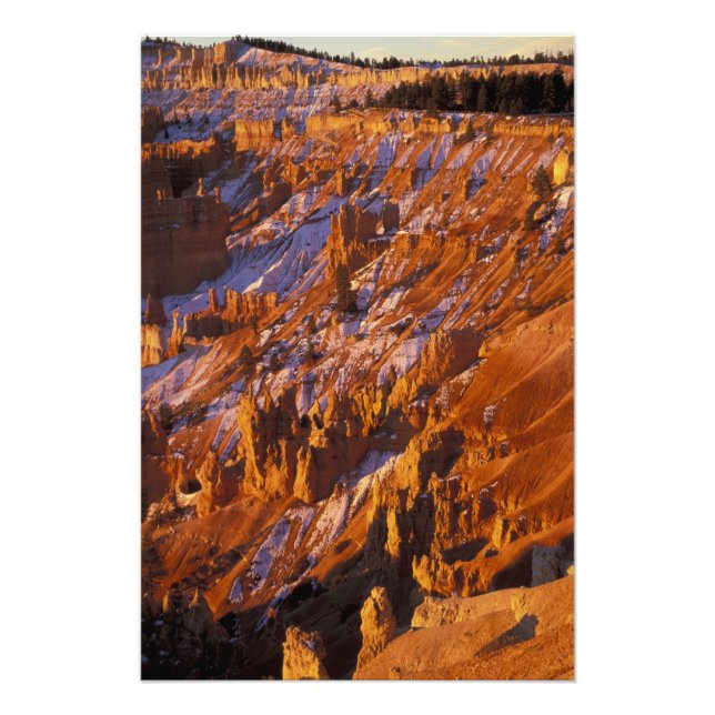Nordamerika, USA, Utah, Bryce Canyon Fototryck (Framsidan)