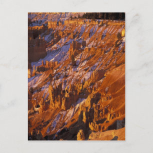 Nordamerika, USA, Utah, Bryce Canyon Vykort