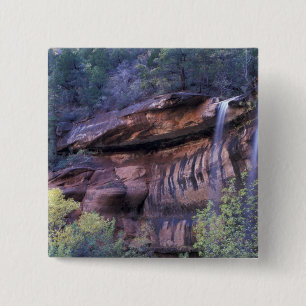 Nordamerika, USA, Utah, Zion National Park. 3 Knapp
