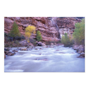Nordamerika, USA, Utah, Zion National Park. Fototryck