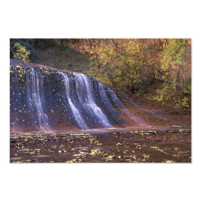 Nordamerika, USA, Utah, Zion National Park. Fototryck (Framsidan)