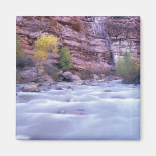 Nordamerika, USA, Utah, Zion Nationalpark. 2 Magnet
