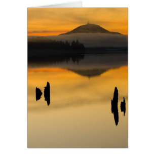 Nordamerika, USA, WA, Olympic National Park. Hälsningskort