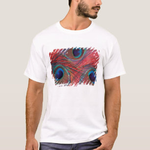 Nordamerika, USA, WA, Redmond, Påfågel T-shirt