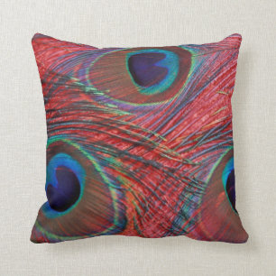 Nordamerika, USA, WA, Redmond, Peacock Kudde