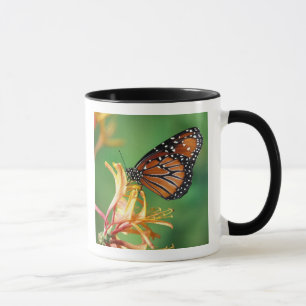Nordamerika, USA, WA, Seattle, Woodland Park Mugg