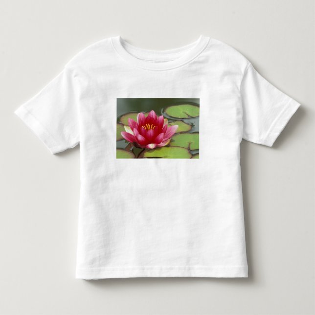 Nordamerika, USA, WA, Seattle, Woodland Park Tee (Framsida)