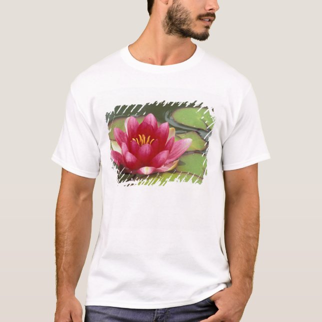 Nordamerika, USA, WA, Seattle, Woodland Park Tee Shirt (Framsida)
