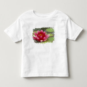 Nordamerika, USA, WA, Seattle, Woodland Park Tee Shirt