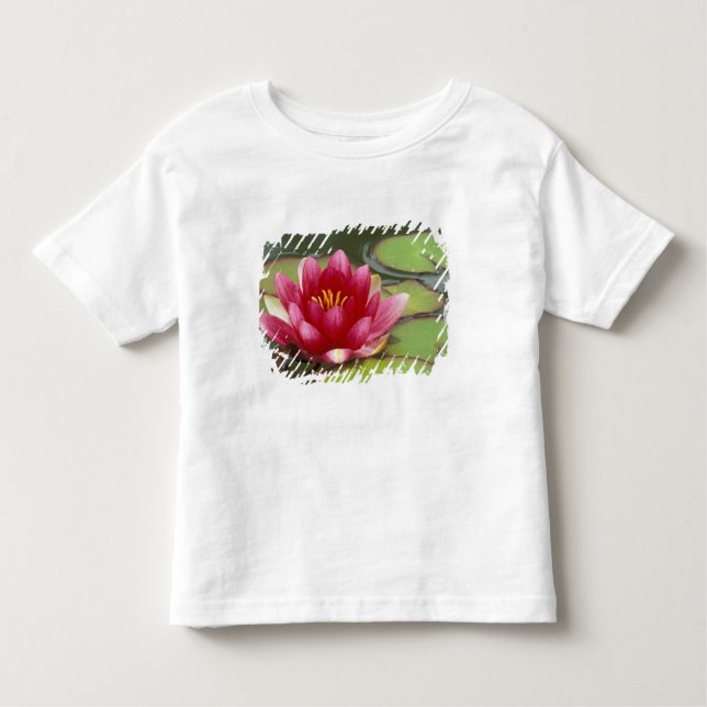 Nordamerika, USA, WA, Seattle, Woodland Park Tee Shirt (Framsida)