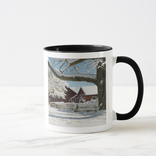 Nordamerika, USA, WA, Whidbey Island. 2 Mugg (Höger)