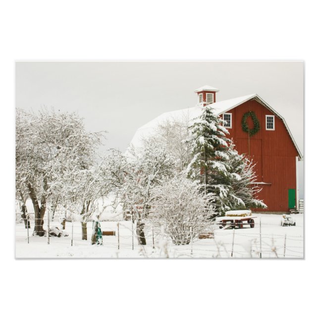 Nordamerika, USA, WA, Whidbey Island. Fototryck (Framsidan)