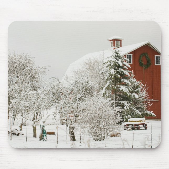 Nordamerika, USA, WA, Whidbey Island. Musmatta (Framsidan)