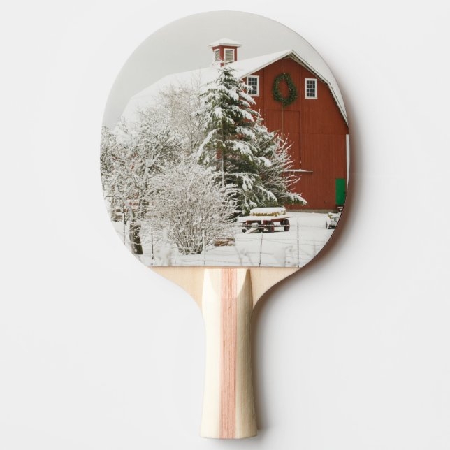 Nordamerika, USA, WA, Whidbey Island. Pingisracket (Framsidan)