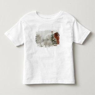 Nordamerika USA, WA, Whidbey Island. T-shirt