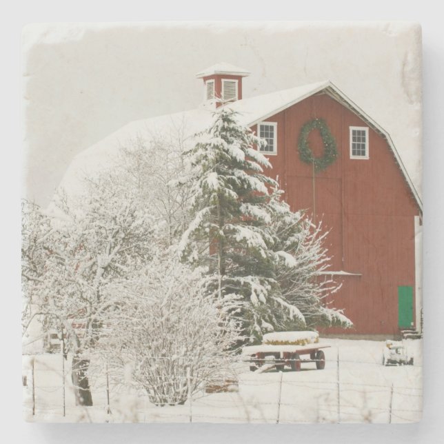 Nordamerika, USA, WA, Whidbey Island. Underlägg Sten (Framsidan)