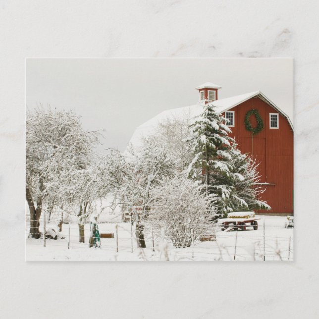 Nordamerika, USA, WA, Whidbey Island. Vykort (Framsida)