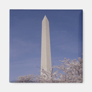 Nordamerika, USA, Washington D.C.. Washington Magnet