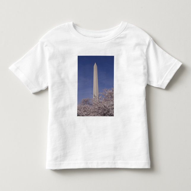 Nordamerika, USA, Washington D.C.. Washington Tee (Framsida)