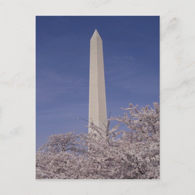 Nordamerika, USA, Washington D.C.. Washington Vykort (Framsida)