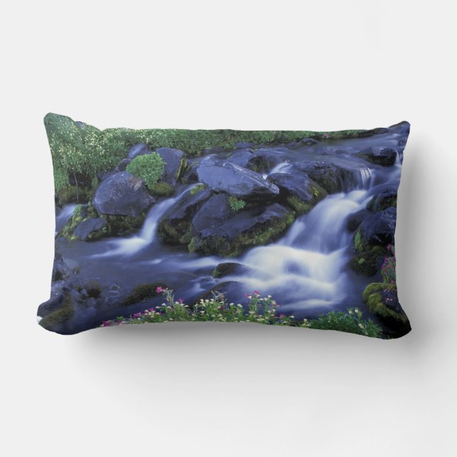 Nordamerika, USA, Washington, Mt Rainier 3 Lumbarkudde (Framsida)