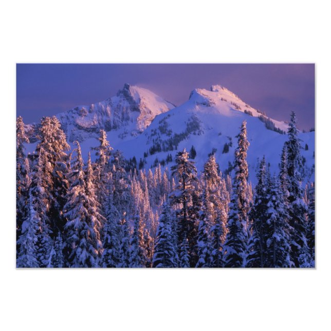 Nordamerika, USA, Washington, Mt. Rainier 4 Fototryck (Framsidan)