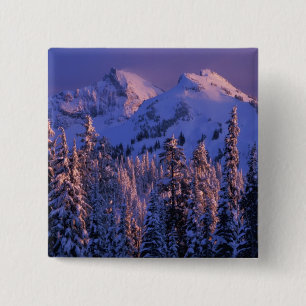 Nordamerika, USA, Washington, Mt. Rainier 4 Knapp