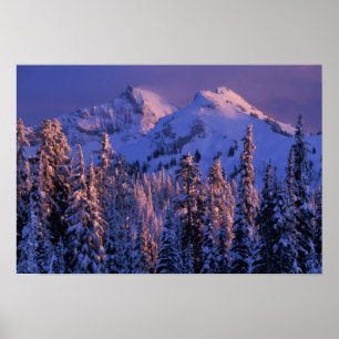 Nordamerika, USA, Washington, Mt Rainier 4 Poster