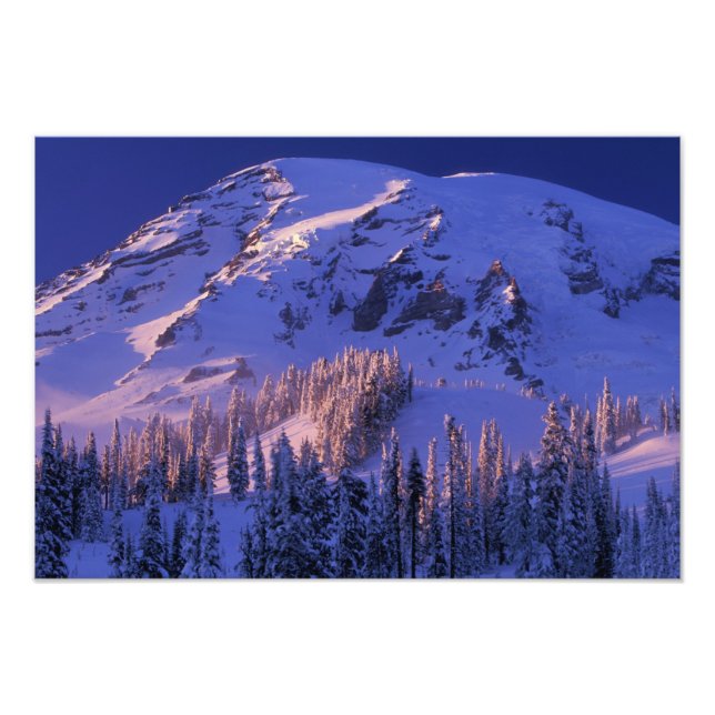 Nordamerika, USA, Washington, Mt. Rainier 5 Fototryck (Framsidan)