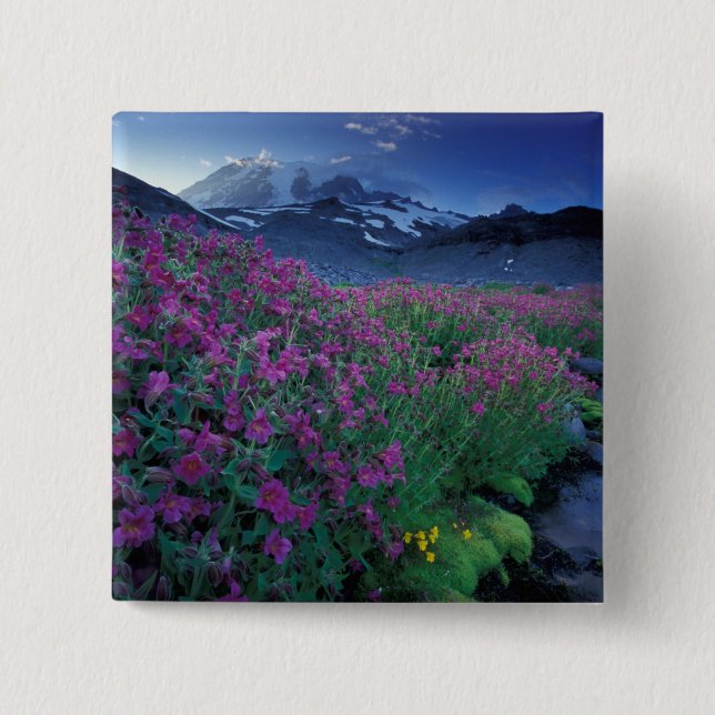 Nordamerika, USA, Washington, Mt. Rainier 6 Knapp (Framsida)