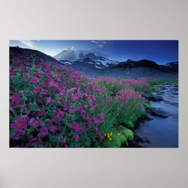 Nordamerika, USA, Washington, Mt Rainier 6 Poster (Framsidan)