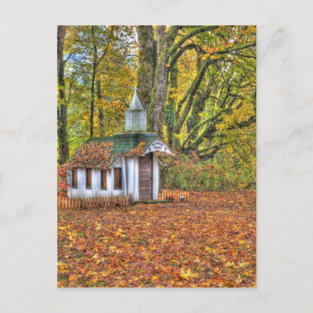 Nordamerika, USA, Washington, Newhalem, 2 Vykort (Framsida)