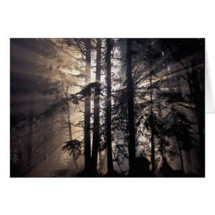 Nordamerika, USA, Washington, Olympic NF, Hälsningskort