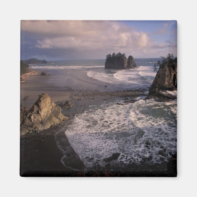 Nordamerika, USA, Washington, Olympic NP, Magnet (Framsidan)