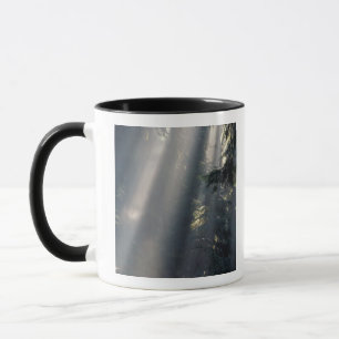 Nordamerika, USA, Washington, Olympic NP, Mugg