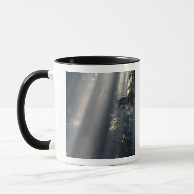 Nordamerika, USA, Washington, Olympic NP, Mugg (Vänster)