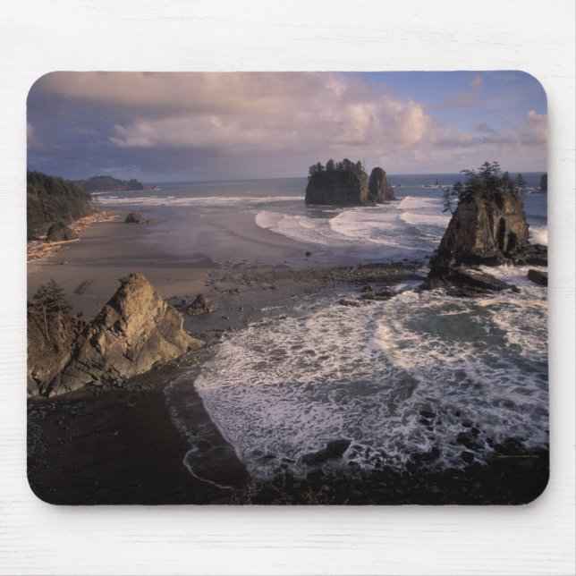 Nordamerika, USA, Washington, Olympic NP, Musmatta (Framsidan)
