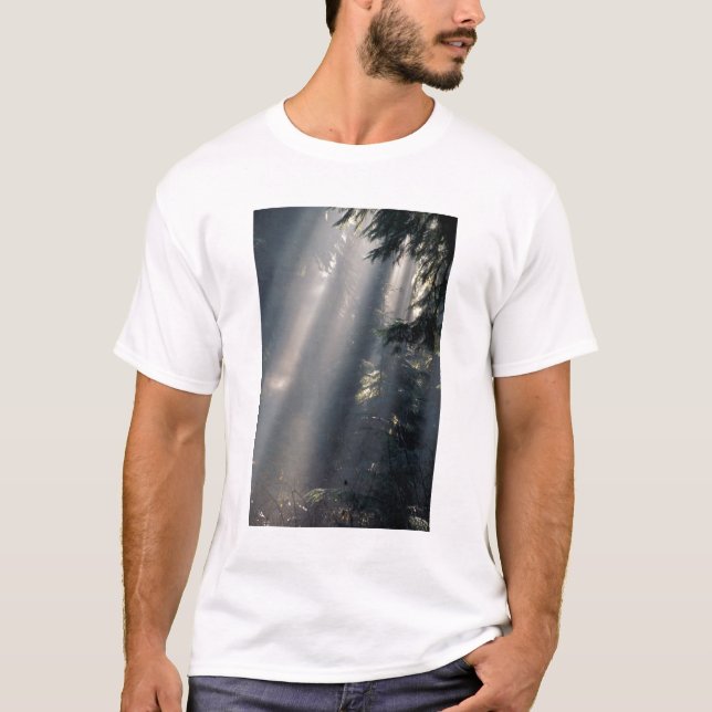 Nordamerika, USA, Washington, Olympic NP, Tee (Framsida)